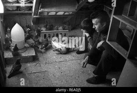 Taube Züchter mit Sohn am 20. Dezember 1977 in Bottrop. | Verwendung weltweit Stockfoto