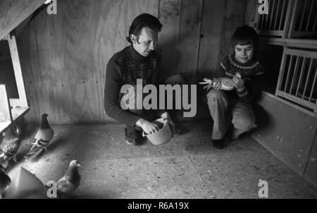 Taube Züchter mit Sohn am 20. Dezember 1977 in Bottrop. | Verwendung weltweit Stockfoto