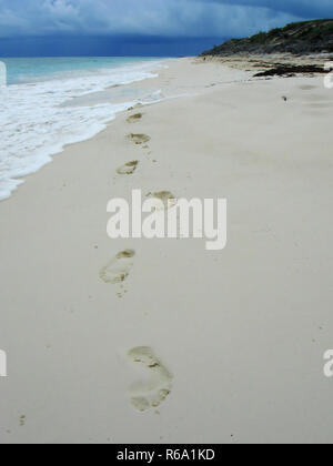 Spuren im Sand des Strandes Stockfoto