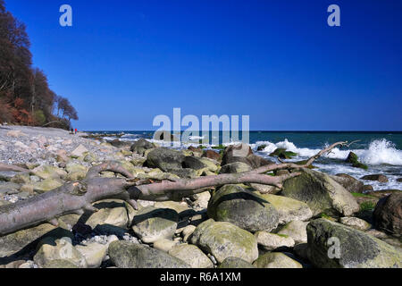 Kreide-Küste der Insel Rügen, Deutschland Stockfoto