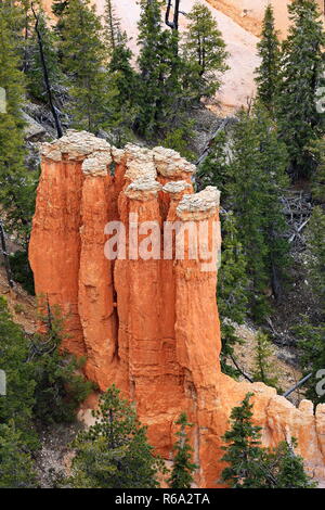 Bryce Canyon Stockfoto