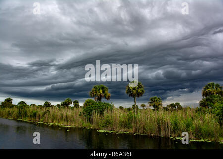 Dunkle Gewitterwolken und dramatischen Stürme füllen Sie den Himmel über den Sumpf in Big Cypress, Florida Stockfoto