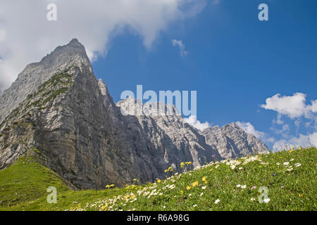 Blumen Am Hohljoch mit der Grubenkarspitze und den eindrucksvollen Wänden Der Laliderer Wand Stockfoto