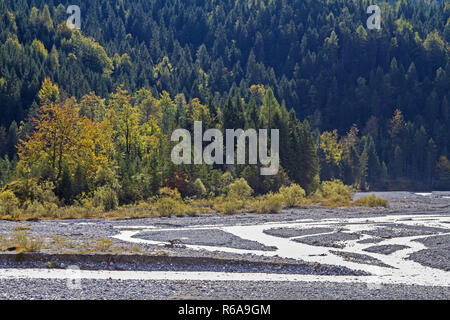 Der kleine Bach sprudelt über zahllose Wasserstände durch das Karwendel in Tirol Stockfoto