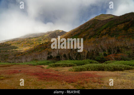 Tsugaike Naturpark im Herbst Stockfoto