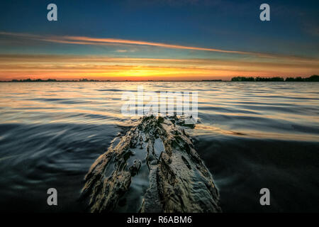 Sonnenuntergang an der Kante entlang der Seen in Flevoland. Floating Stück Treibholz an der Küste mit Blick über die flache holländische Polderlandschaft gewaschen. Stockfoto