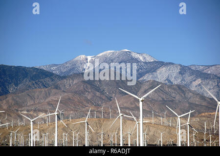 Windmühlen des Mount San Jacinto Stockfoto