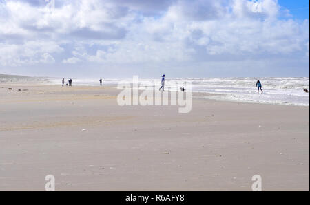 Spaziergänger und Hunde auf den Sandstrand Stockfoto