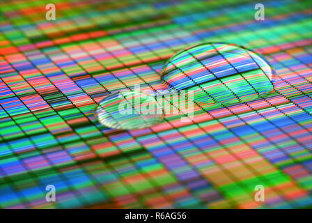 Die Verstärkung von bunten Sanger Sequenzierung Stockfoto