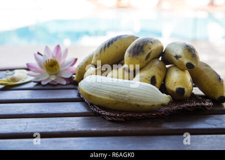 Gelbe Bananen angebaut, Raw Organic Gelb Baby Bananen in einem Bündel Stockfoto