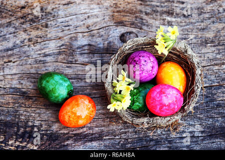 Frohe Ostern! Ein osternest mit bunten Ostereier und Cowslips Stockfoto
