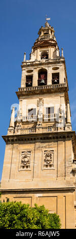 Turm der Mezquita, Córdoba, Andalusien, Spanien, Europa Stockfoto