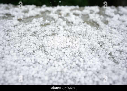 Einfrieren von Granulierten Hagel Eiskristalle, Körner in den Händen nach starker Hagelschlag im Herbst fallen. Erster Schnee im frühen Winter. Bei kaltem Wetter. Stockfoto