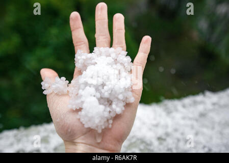 Holding einfrieren granulierten Hagel Eiskristalle, Körner in den Händen nach starker Hagelschlag im Herbst fallen. Erster Schnee im frühen Winter. Bei kaltem Wetter. Stockfoto