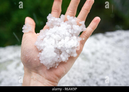 Holding einfrieren granulierten Hagel Eiskristalle, Körner in den Händen nach starker Hagelschlag im Herbst fallen. Erster Schnee im frühen Winter. Bei kaltem Wetter. Stockfoto