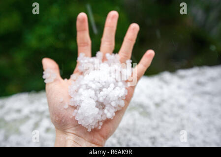 Holding einfrieren granulierten Hagel Eiskristalle, Körner in den Händen nach starker Hagelschlag im Herbst fallen. Erster Schnee im frühen Winter. Bei kaltem Wetter. Stockfoto