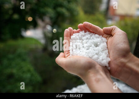 Holding einfrieren granulierten Hagel Eiskristalle, Körner in den Händen nach starker Hagelschlag im Herbst fallen. Erster Schnee im frühen Winter. Bei kaltem Wetter. Stockfoto