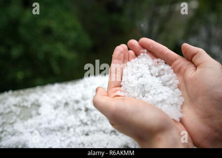 Holding einfrieren granulierten Hagel Eiskristalle, Körner in den Händen nach starker Hagelschlag im Herbst fallen. Erster Schnee im frühen Winter. Bei kaltem Wetter. Stockfoto