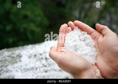 Holding einfrieren granulierten Hagel Eiskristalle, Körner in den Händen nach starker Hagelschlag im Herbst fallen. Erster Schnee im frühen Winter. Bei kaltem Wetter. Stockfoto