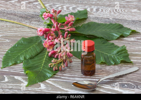 Bachblüten Tropfen mit Red Chestnut Blüten und Löffel Stockfoto