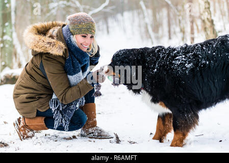 Frau Wandern Berner Sennenhund an einem Wintertag Stockfoto