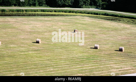 Gepflegter Rasen mit Gras Ballen im Val de Loire Stockfoto