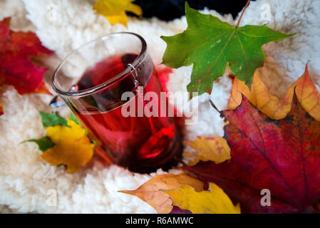 Bunte Herbst Hintergrund. Tasse oder Becher heißen roten Früchte Tee mit Rauch in der gemütlichen Zimmer. Flauschige Decke, Garn und verlässt die Schaffung einer einladenden, warmen atmosp Stockfoto