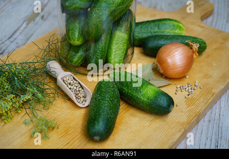 Erhaltung der Gurken Stockfoto