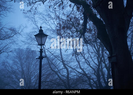 Ein traditionelles Gas Lamp steht durch Nebel unbeleuchteten gegen einen Back Drop der Bäume im Winter umgeben Stockfoto