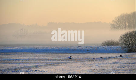 Am frühen Morgen im winterlichen Ampermoss, River Valley Fen in der Nähe Ammersee in Oberbayern Stockfoto