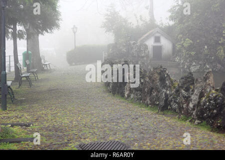 Der Stadtpark in Monte auf der Insel Madeira an einem nebligen Tag Stockfoto