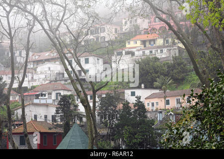 Häuser in Monte auf der Insel Madeira an einem nebligen Tag Stockfoto