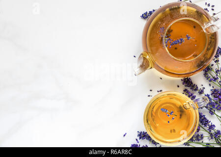 Lavendel Tee in eine Tasse und Kännchen mit frischen Blumen auf weißem Marmor tisch. Kräutertee trinken. Ansicht von oben mit der Kopie Raum Stockfoto