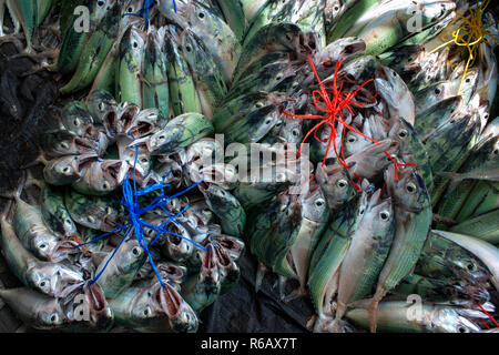 Victoria Market in Victoria, Mahé, Seychellen Stockfoto