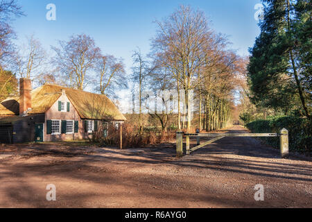 Eine Farm auf einem geschlossenen Straße mit einer Reihe von Bäumen auf beiden Seiten befindet sich in der niederländischen Landschaft Stockfoto