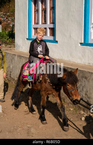 Nepal, thado Koshi Gaon, jungen westlichen Junge auf Pferd auf Everest Base Camp Trek, Stockfoto