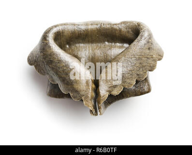 Tintenfisch tortellini Pasta auf weißem Hintergrund. Stockfoto