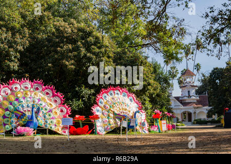 Los Angeles, Dez 2: Morgen Blick auf die farbenfrohen Pfau Laterne von Moonlight Wald Festival am Dez 2, 2018 in Los Angeles Stockfoto