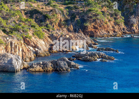 Nettes Detail aus Costa Brava Küsten in Spanien, La Fosca Stockfoto