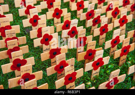 Hölzerne Kreuze mit Mohn angebracht mit den Namen der Gefallenen. Stockfoto