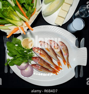 Frische rote Meeräsche Fische mit grünem Salat, Feta Käse, Melone und Türkische alkoholisches Getränk Raki Stockfoto