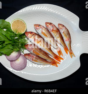 Rotbarbe Fische mit Rucola Blätter auf Platte mit schwarzem Hintergrund Stockfoto