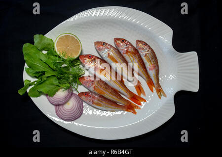 Rotbarbe Fische mit Rucola Blätter auf Platte mit schwarzem Hintergrund Stockfoto