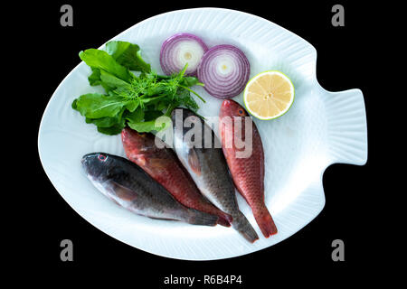 Mediterrane Papageienfische mit Raketen Blätter serviert auf weißem Schild mit schwarzem Hintergrund Stockfoto