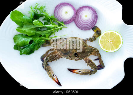 Frische Krabben mit Raketen Blätter serviert auf weißem Schild mit schwarzem Hintergrund Stockfoto