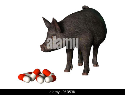 3D-Rendering Schwein und Pillen auf Weiß Stockfoto