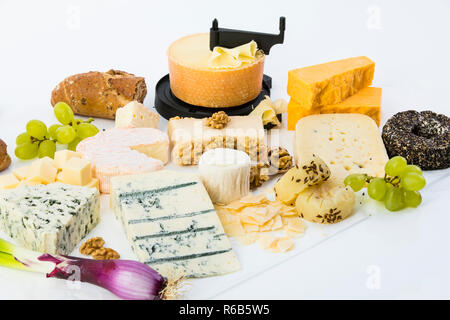 Käseplatte, Studio, Cheddar, tete Moine, Gorgonzola, Ziegenkäse, der französischen Schafskäse, Butter, Käse, Weichkäse, Streichkäse mit Walnüssen, Pfeffer Käse, Käse, Gouda, Parmesan, Trauben, Walnüsse, Frühlingszwiebeln Stockfoto