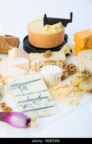 Käseplatte, Studio, Cheddar, tete Moine, Gorgonzola, Ziegenkäse, der französischen Schafskäse, Butter, Käse, Weichkäse, Streichkäse mit Walnüssen, Pfeffer Käse, Käse, Gouda, Parmesan, Trauben, Walnüsse, Frühlingszwiebeln Stockfoto