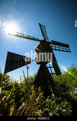 Charakteristisch schwarz geteerten Mühle zwischen grünem Schilf am Rand einer Wiese und Wasserstraßen. Einzigartige holländische Landschaft Foto mit kulturellen Erbes Stockfoto