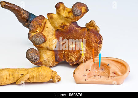 Akupunktur Nadeln, Ginseng und Reishi Pilz Stockfoto